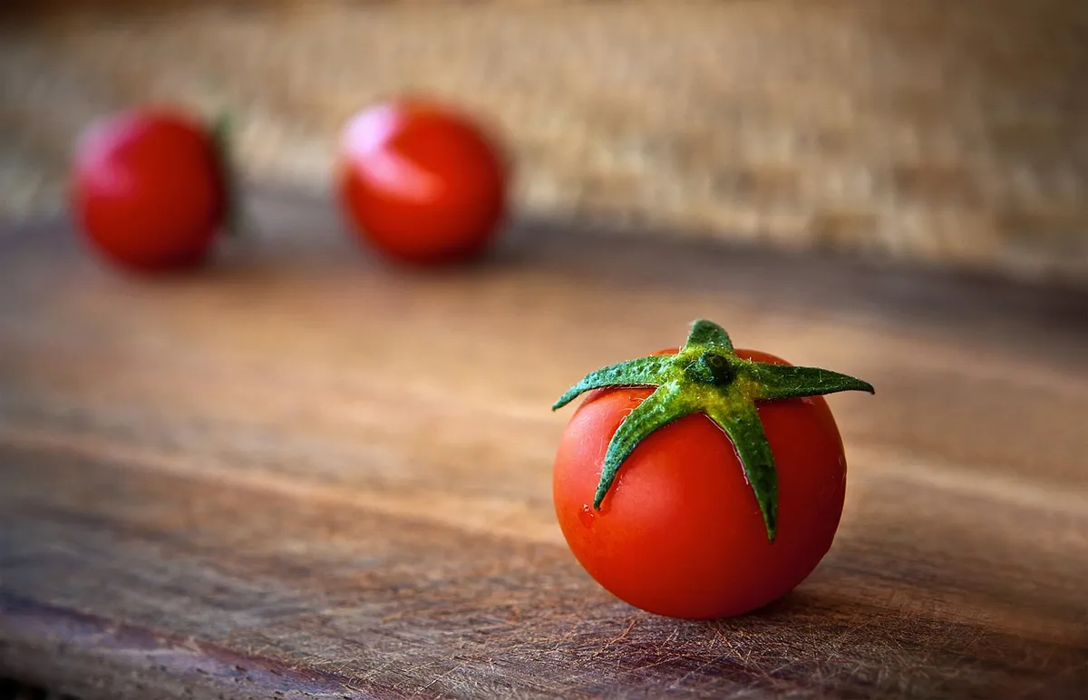 tomato, fresh, red tomato, produce, harvest, organic, fresh produce, healthy, food, ripe tomato, fresh tomato, fresh food, diet, tomato, tomato, tomato, tomato,