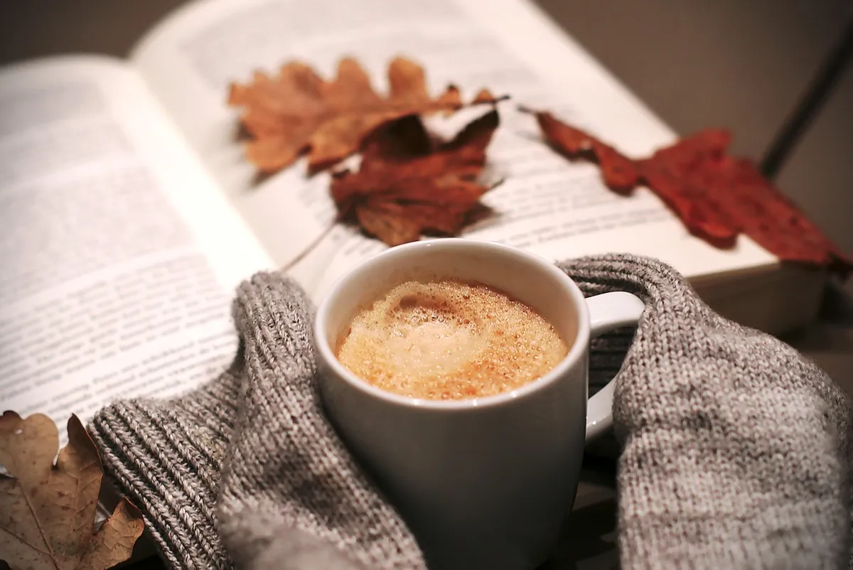 drink, coffee, food, leaves, autumn, nature, book, sweater, mug, relaxation, coffee cup, cozy