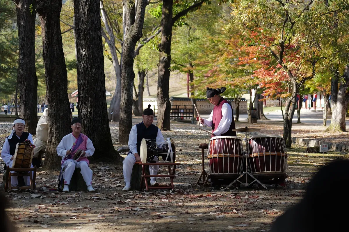 Korean musicians performing outdoors with traditional drums during autumn.