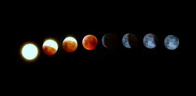 Neujahr Guide: Vergleiche solare und lunare Feiern 1